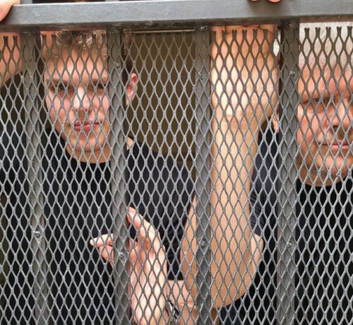 Imagem do post Forest and the Tree divulga seu novo single “Undefendable”
